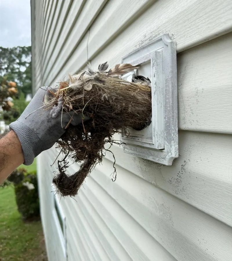 Dryer-Vent-Birds-Nest-Removed-02